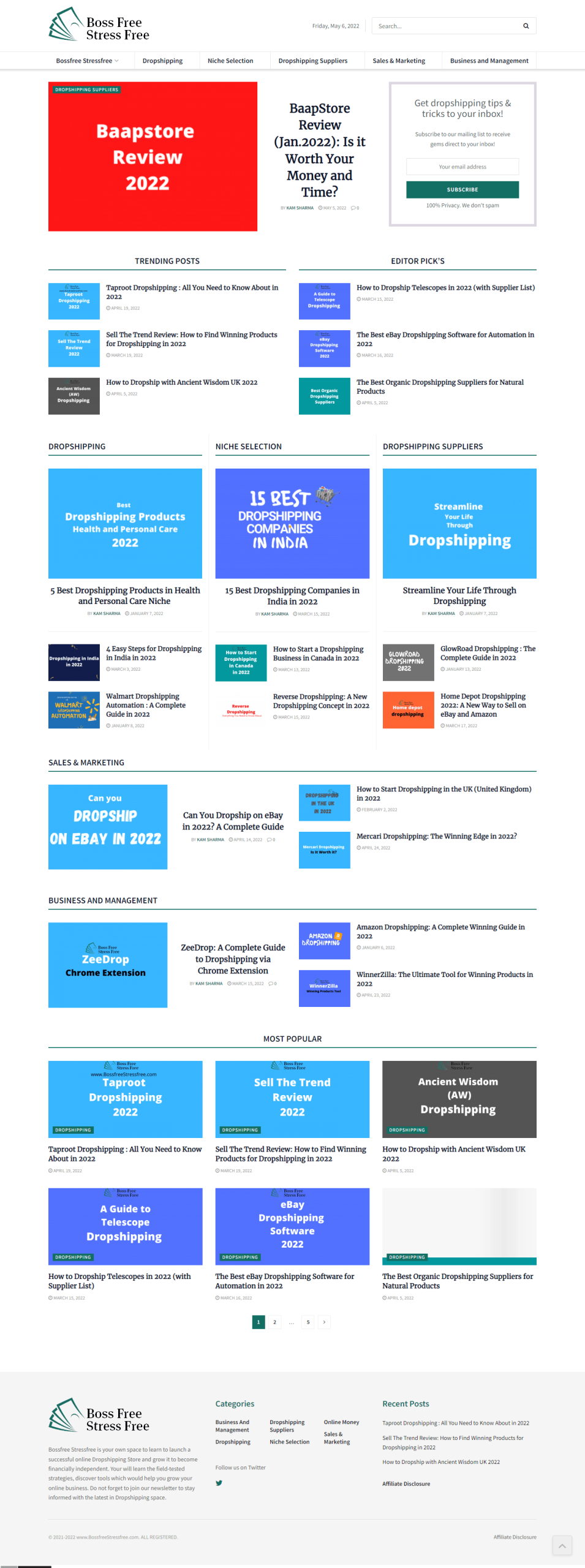 Elementor web designer